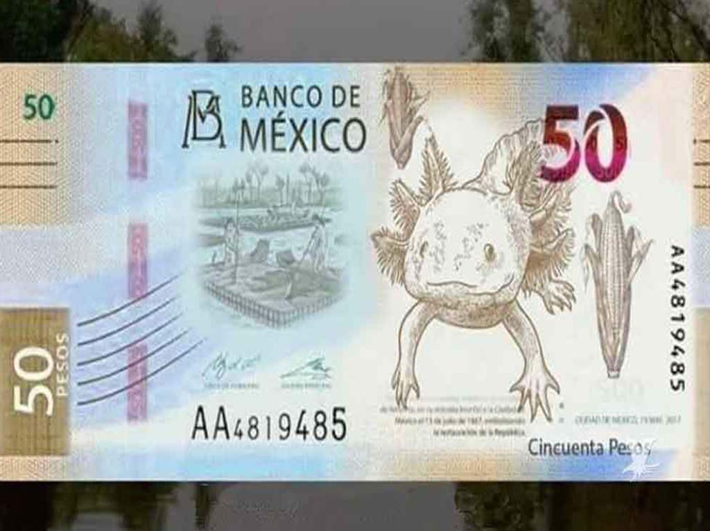 Billete 50 pesos nuevo ajolote