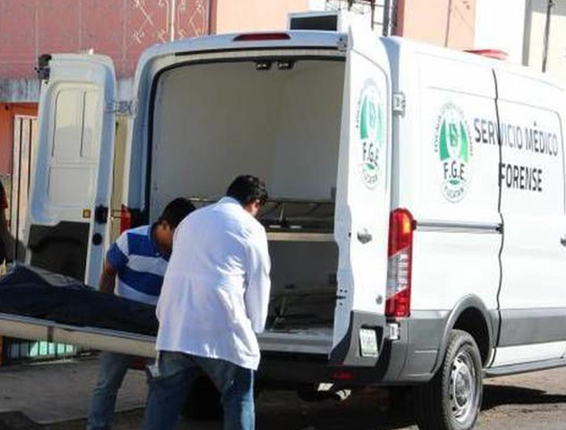 Imss