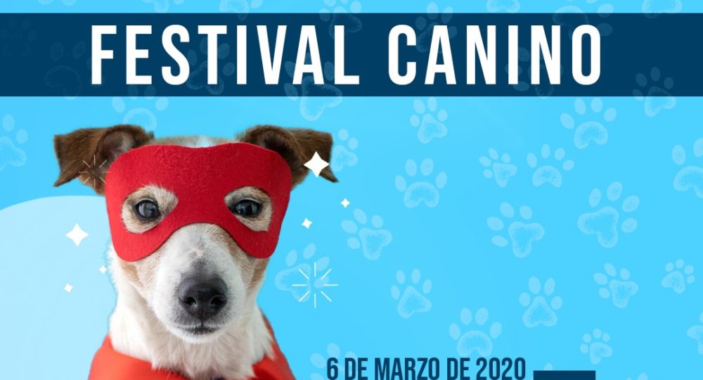 Fetival canino 1000x540