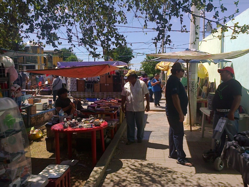 Imagen31