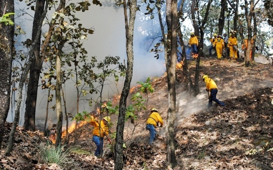 Brigadistas apagar incendio reserva biosfera 0 1 800 498