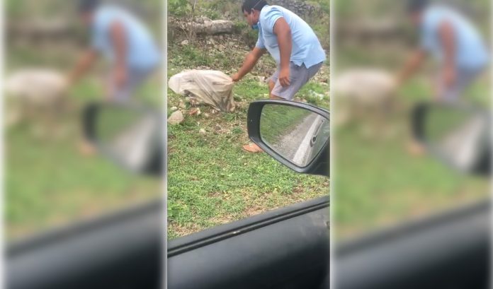 Maltrato crueldad animal perro 696x409