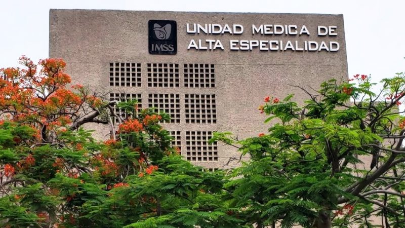 Umae imss scaled