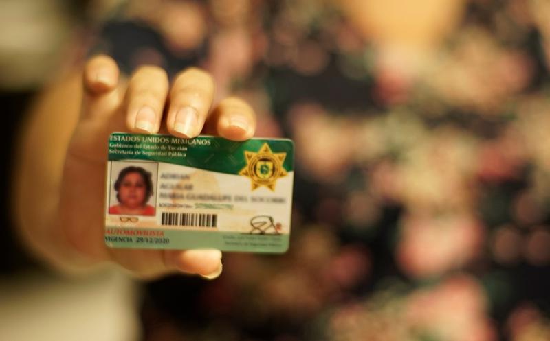 Licencia