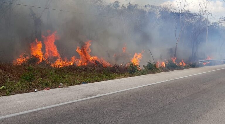 Incendio valladolid 1 scaled