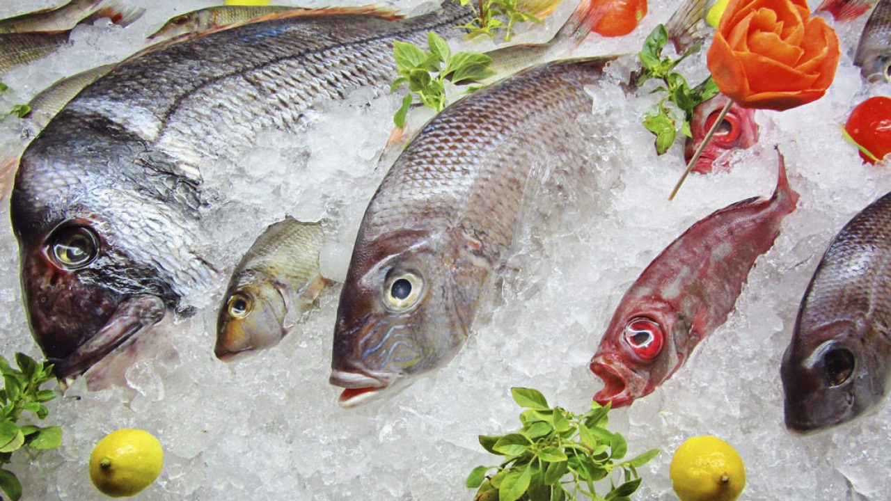 Img pescado fresco sa hd 1280x720