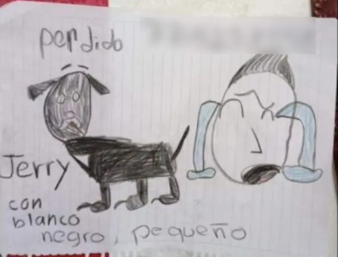 Perrito 1