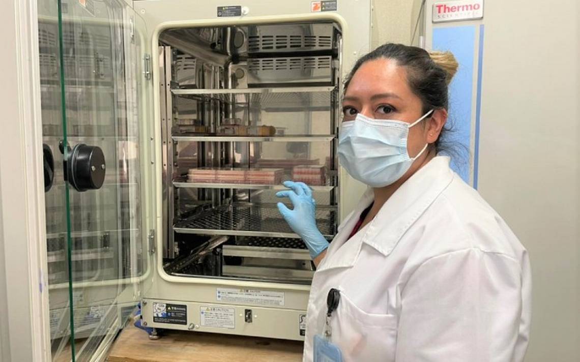 Paola castillo del ipn desarrolla biofármaco contra covid 19