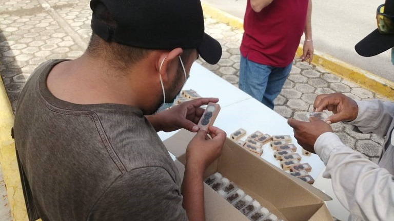 Apicultores4