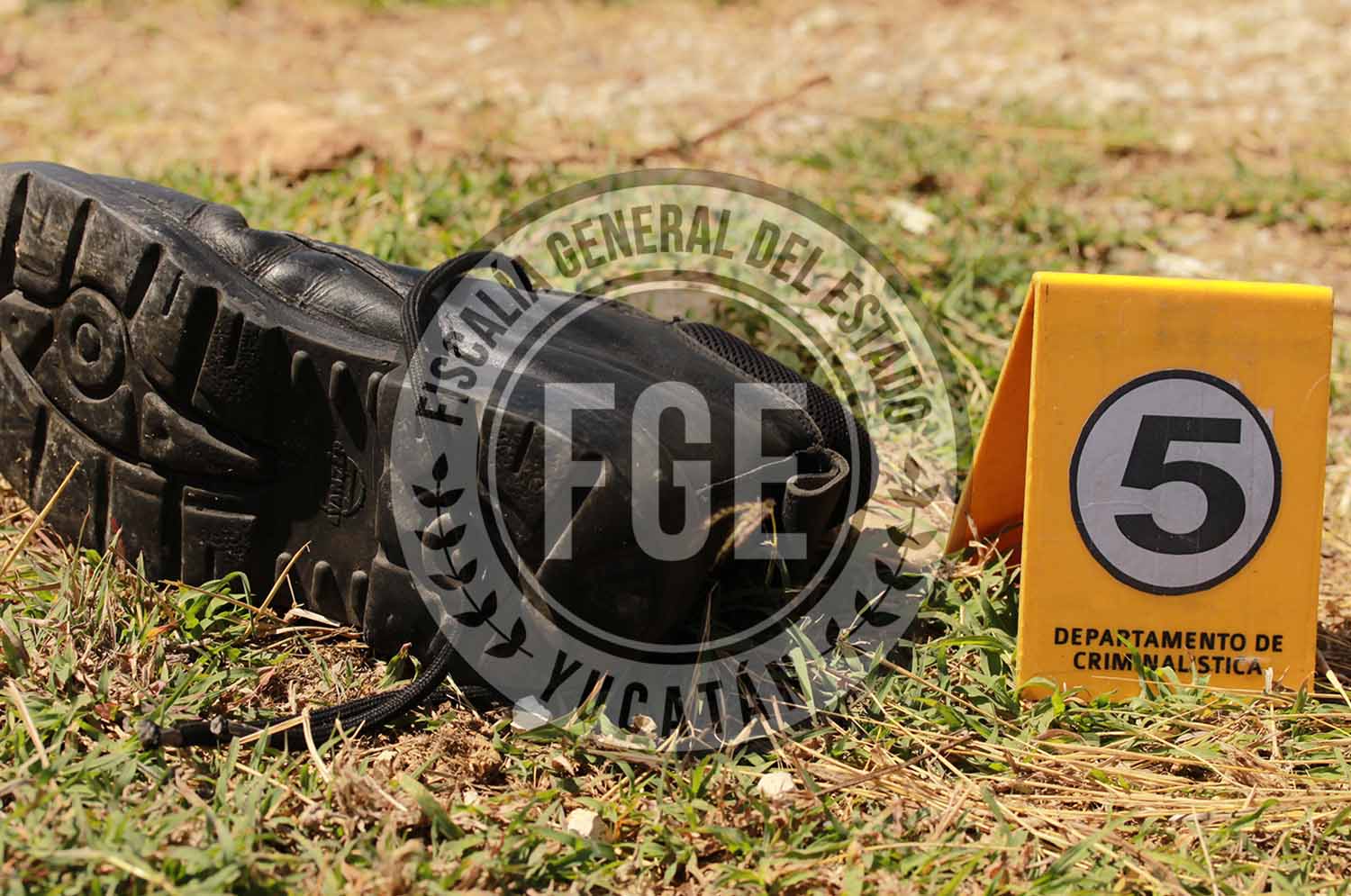 Comunicado fge 5644 22