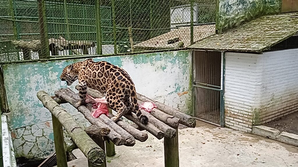 Zoologico chorros de milla 1024x576