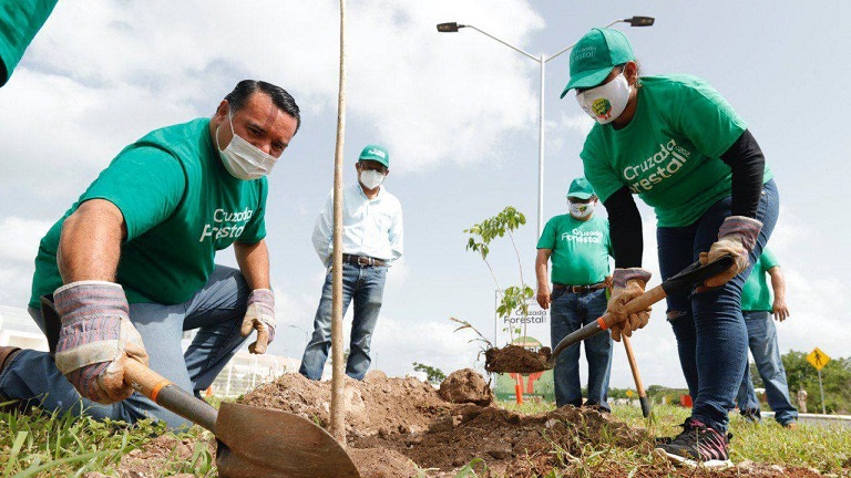 Cruzada forestal 1