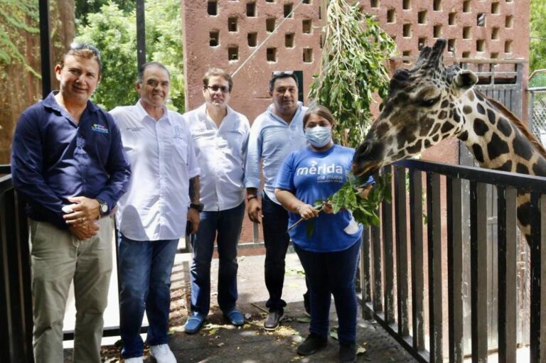 Zoologico scaled