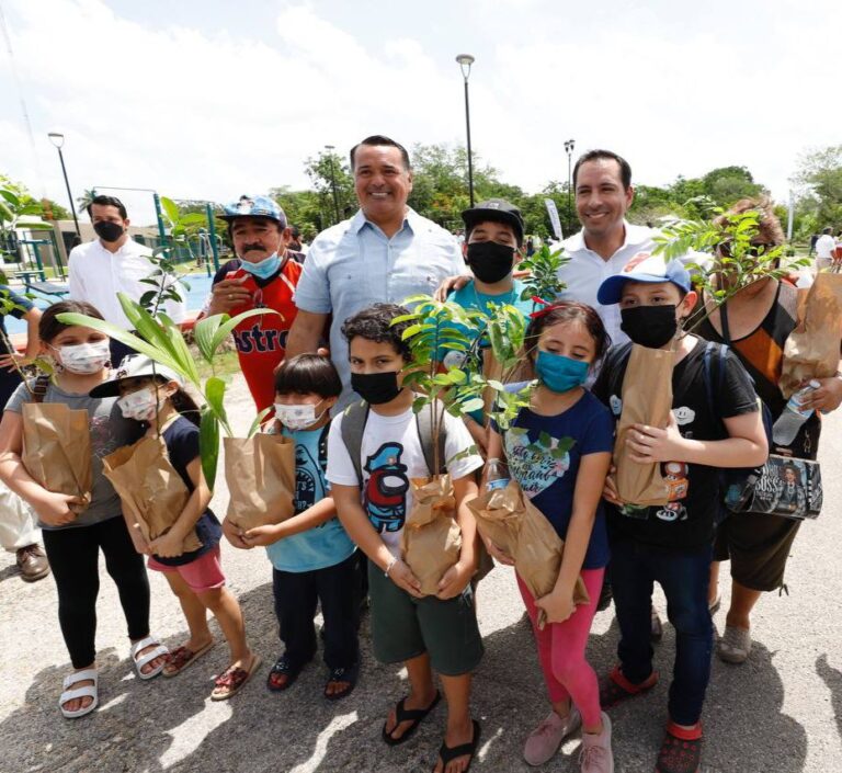 Reforestacion cruzada foresta 2 scaled
