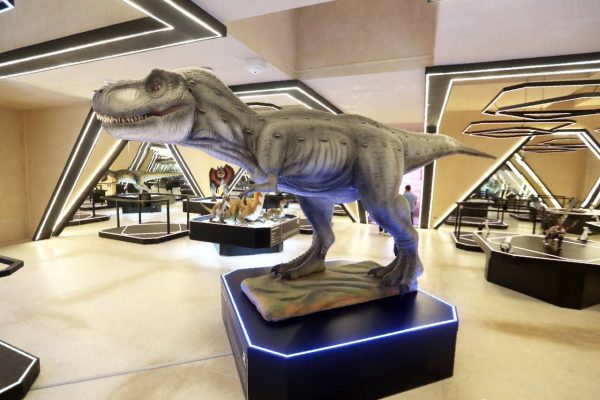 Museo del Meteorito de Progreso abrirá sus puertas este martes 9 de agosto