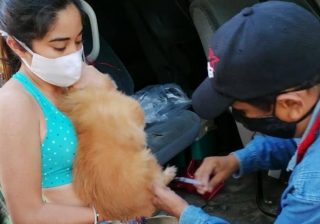 Invitan a participar en Jornada Nacional de Vacunación Antirrábica