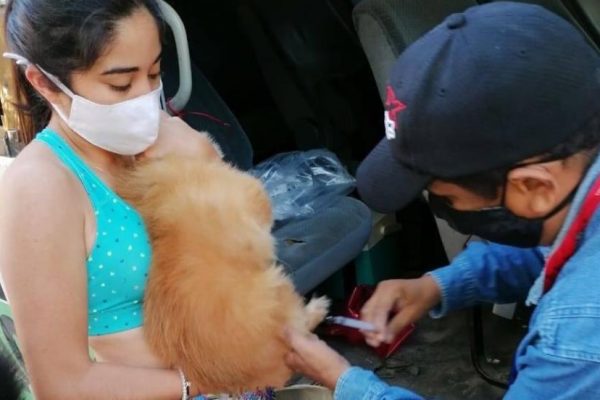 Invitan a participar en Jornada Nacional de Vacunación Antirrábica