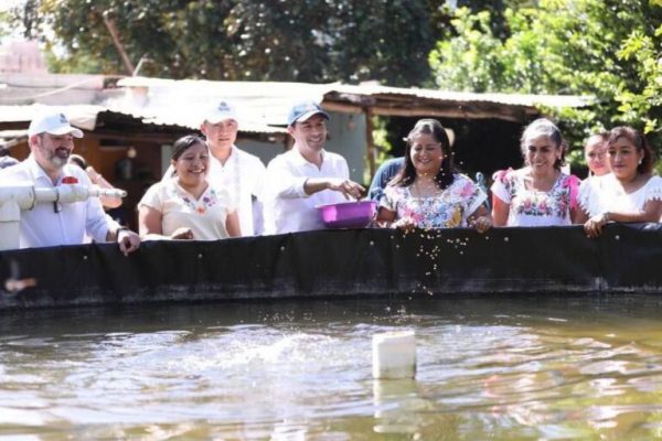 Familia sale adelante con su propia granja de tilapias