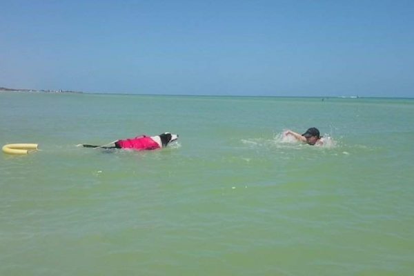 Perro rescatista llega a Progreso