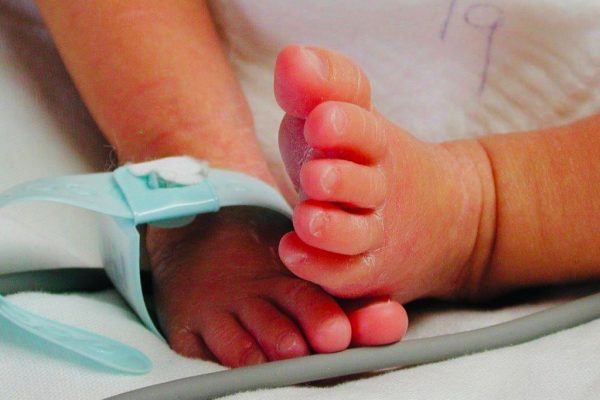 Bebés alegran a familias yucatecas