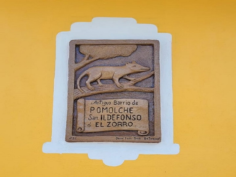 El zorro1