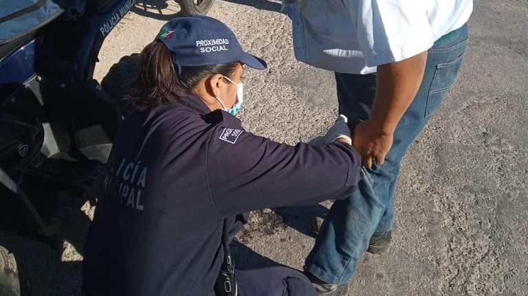 Ataque de perros