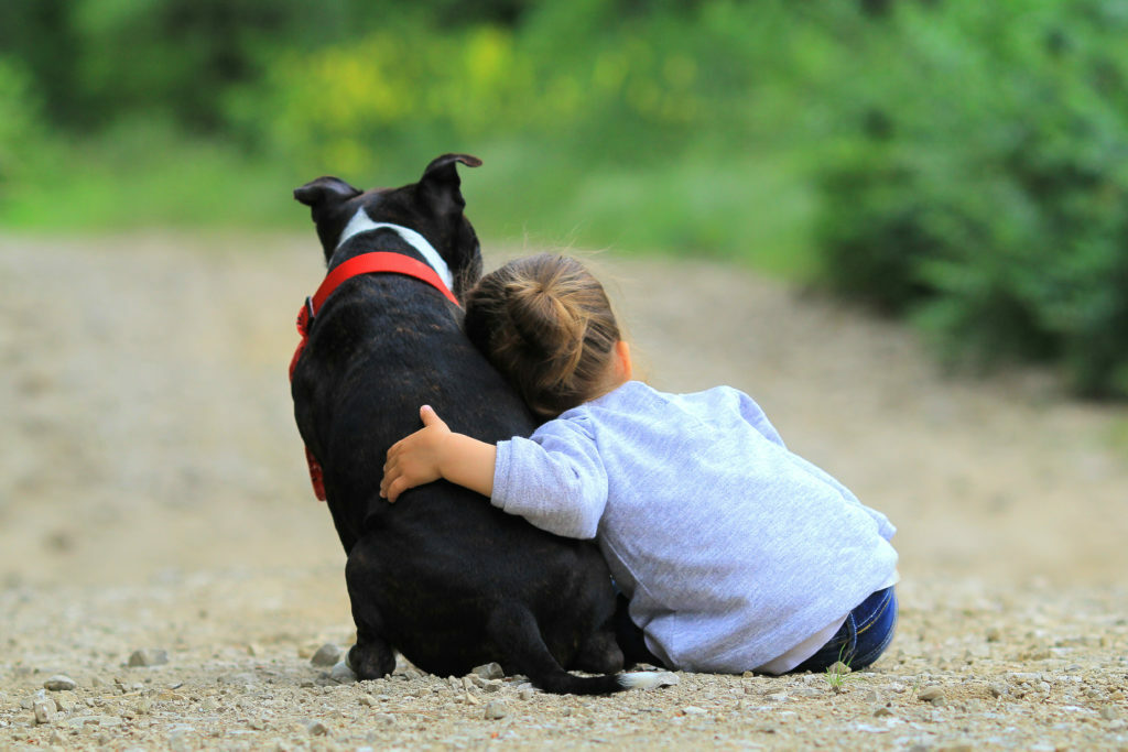 Child and dog