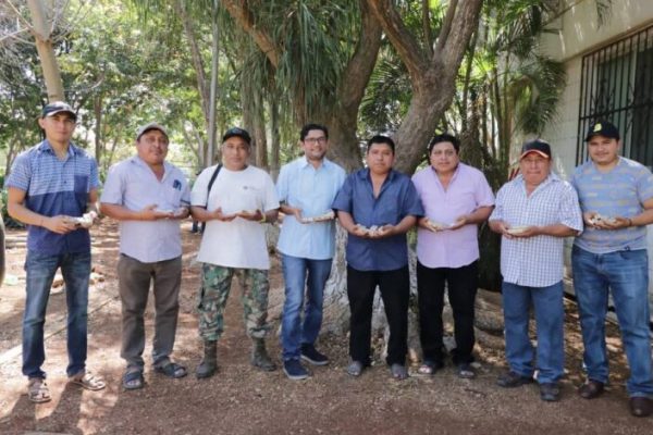 Productores robustecen sus colmenas con abejas reina