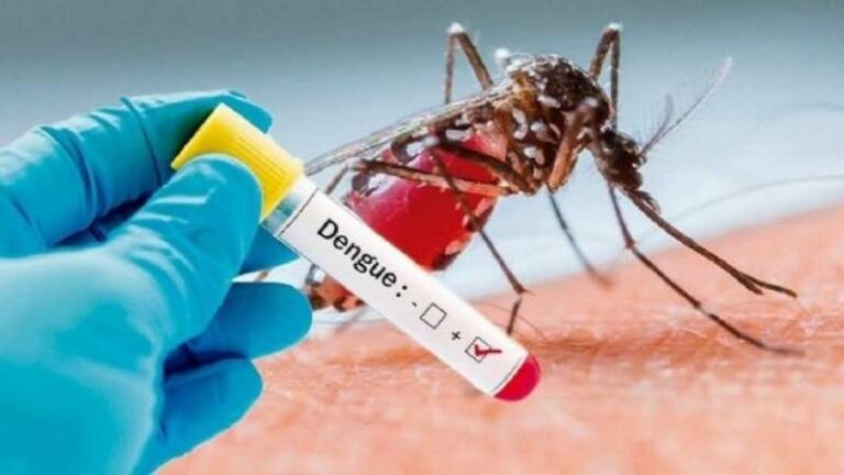 Dengue scaled