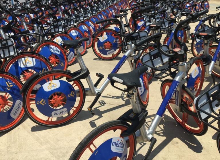 Roban bici merida2 scaled