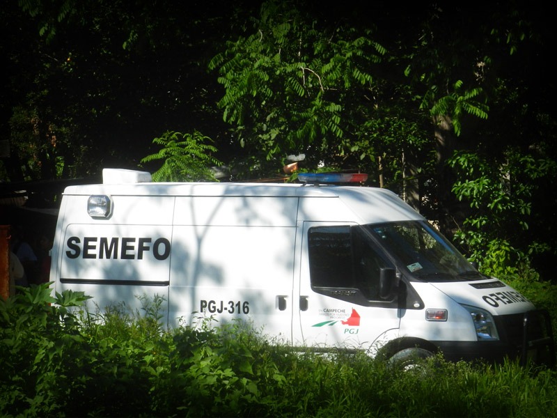 Semefo