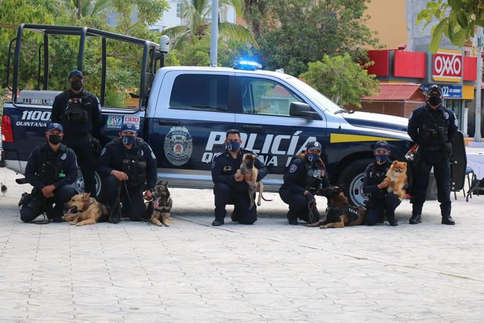 Cjquintanaroo1