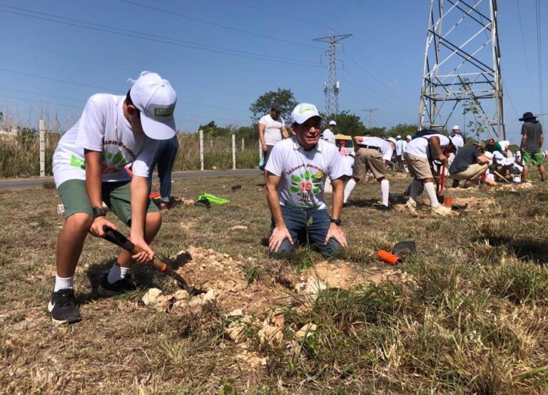 Industria maderera reforestacion 3 scaled