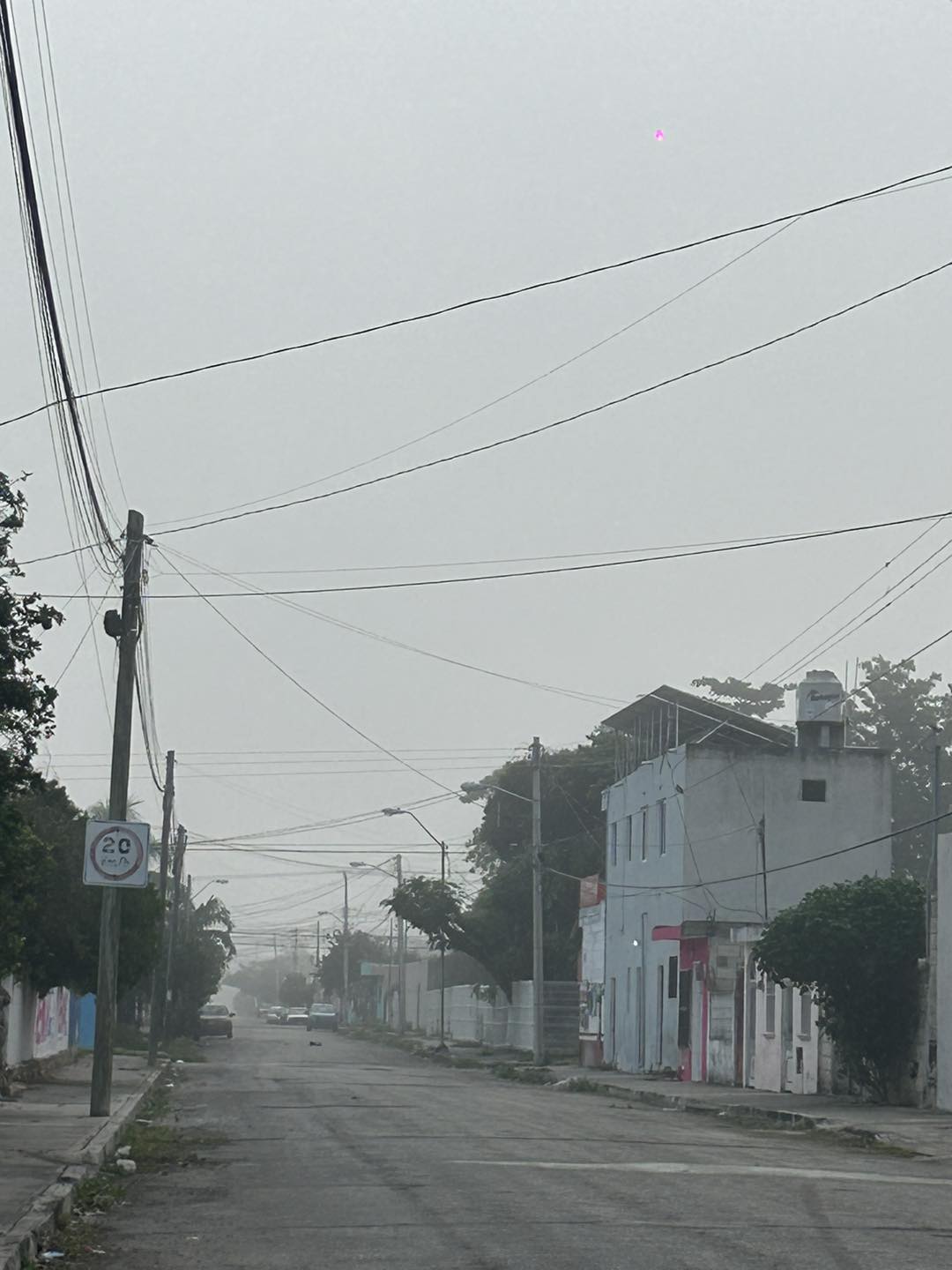 Heladez10