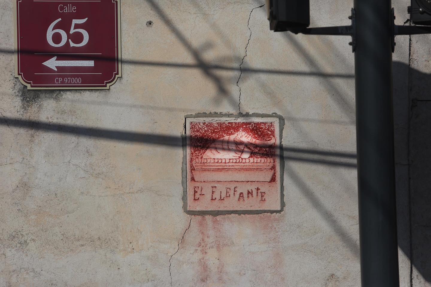 Elefante1