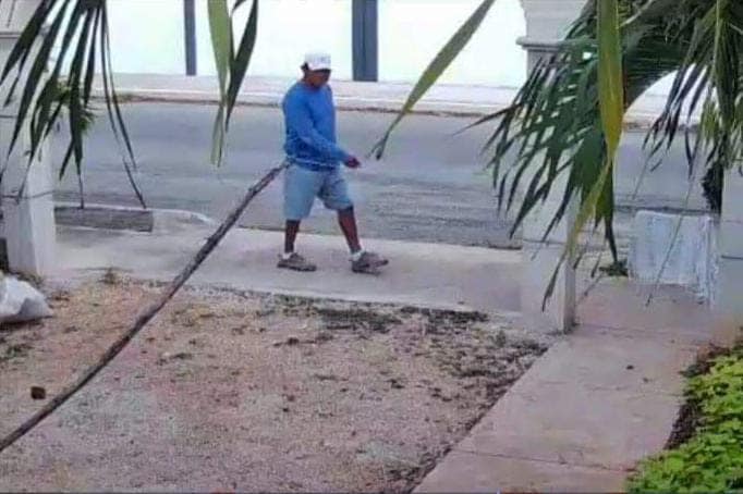 Ladron1