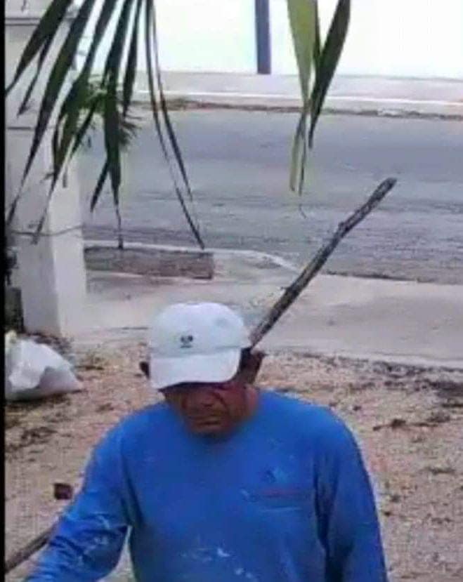 Ladron2