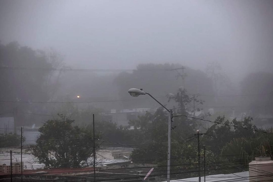Neblina1