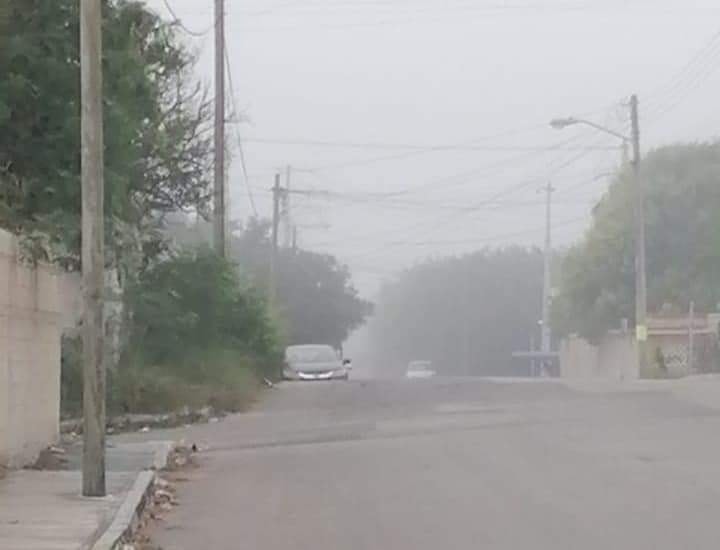 Neblina2