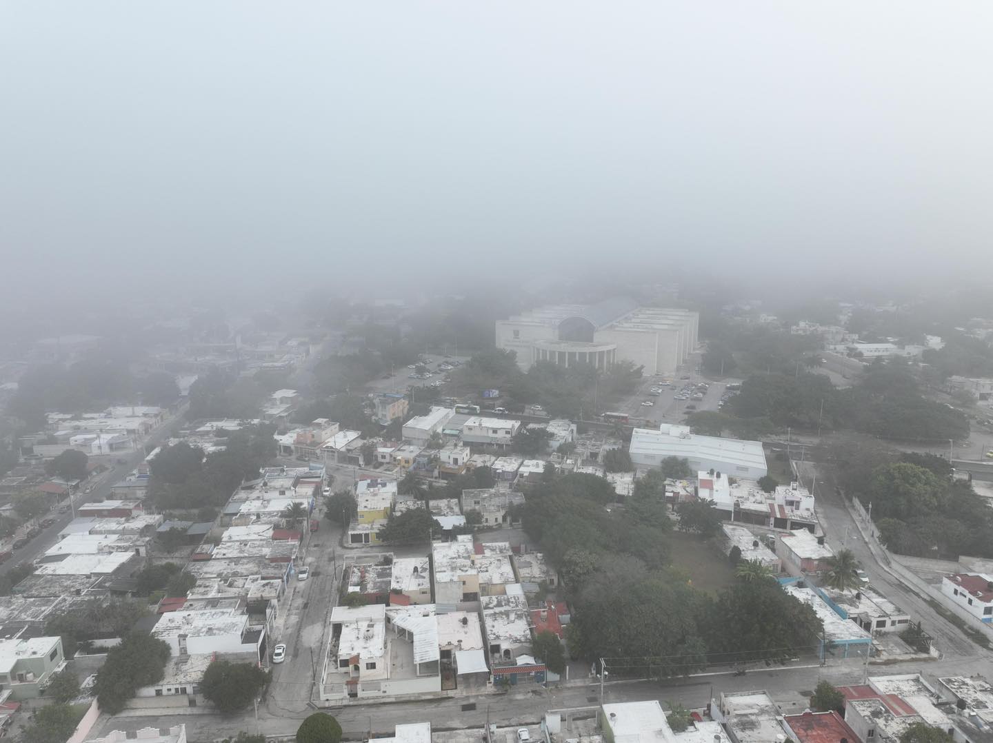 Neblina5