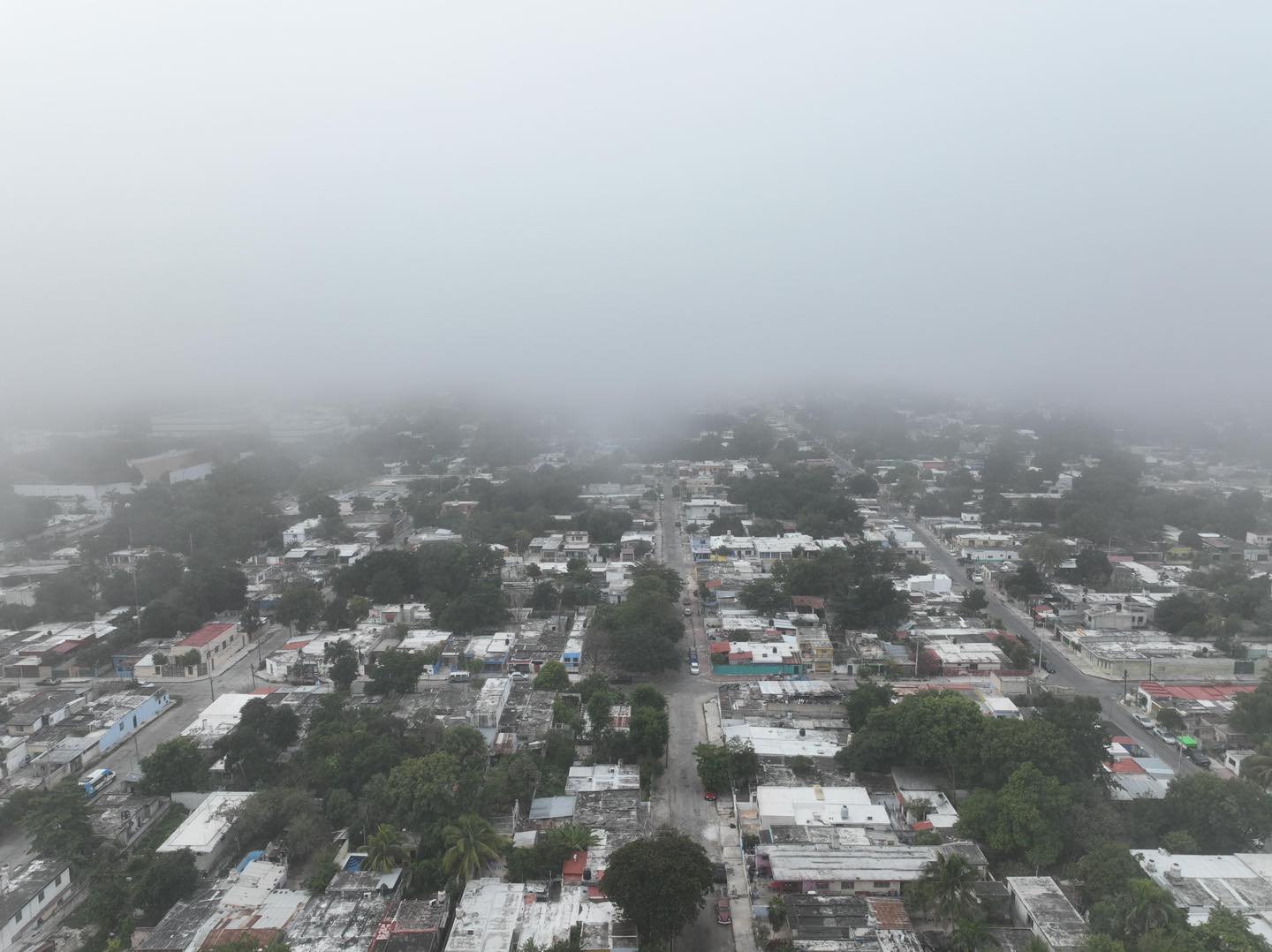 Neblina6