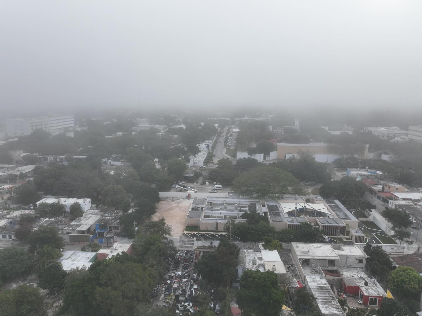 Neblina8