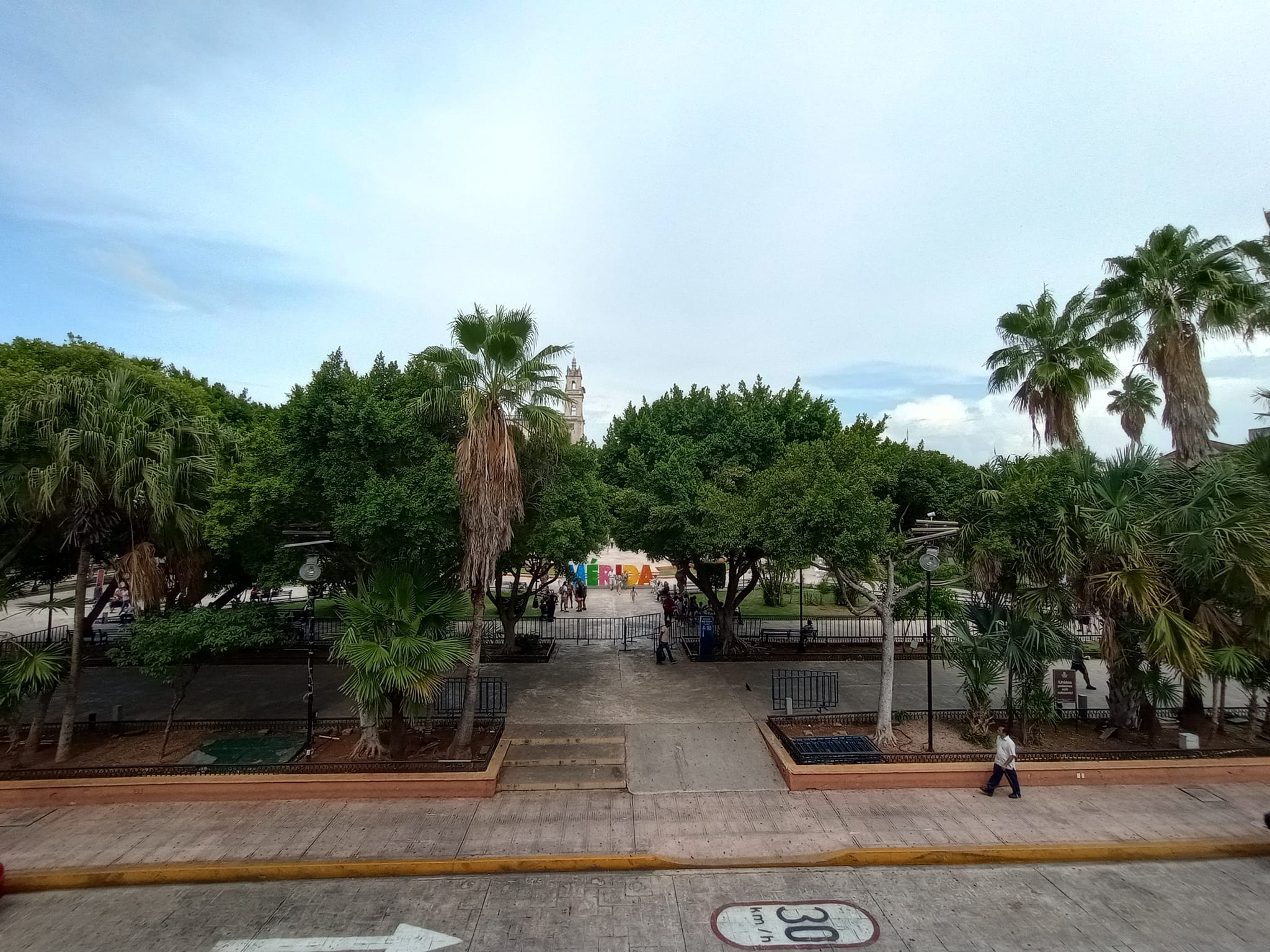 Arboles6