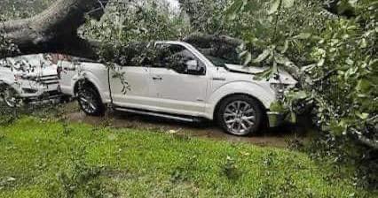 Beryl5