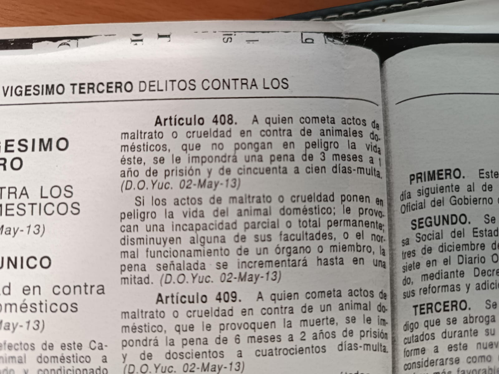 Maltrato3