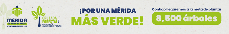 Banners cf 771 x 117 yucatan independiente