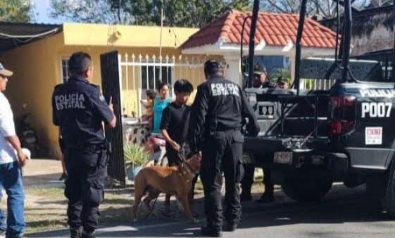 Perro 3 Ok