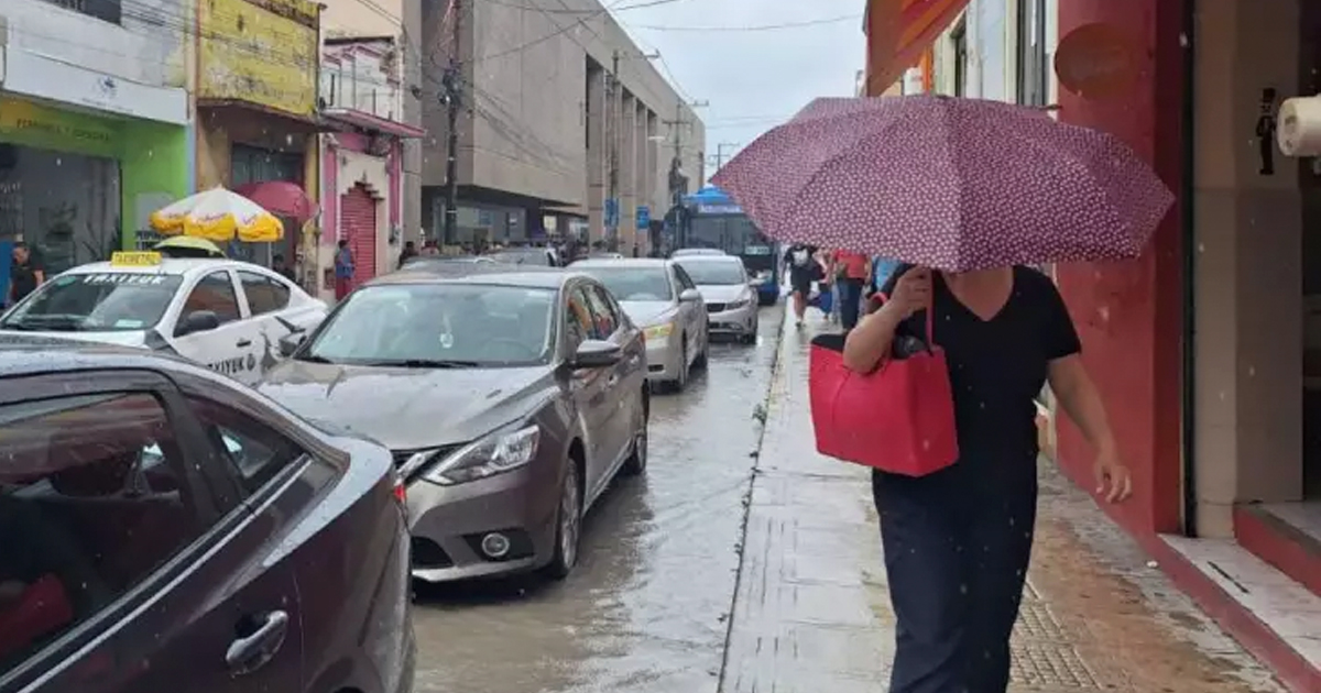 Wp Lluv Frio