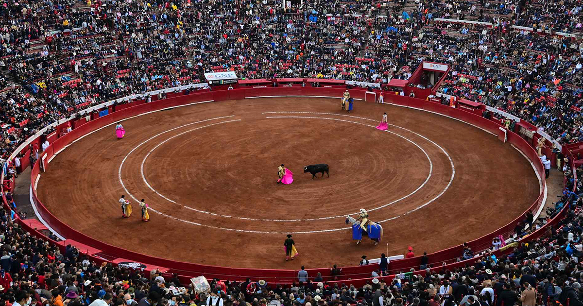 Iniciativa en CDMX protege a toros en corridas Sdsfasf