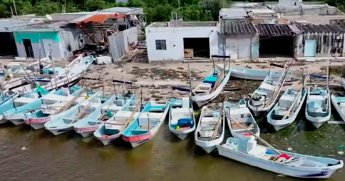 Pesca en Celestún enfrenta crisis por sobreexplotación Fgfghfgh